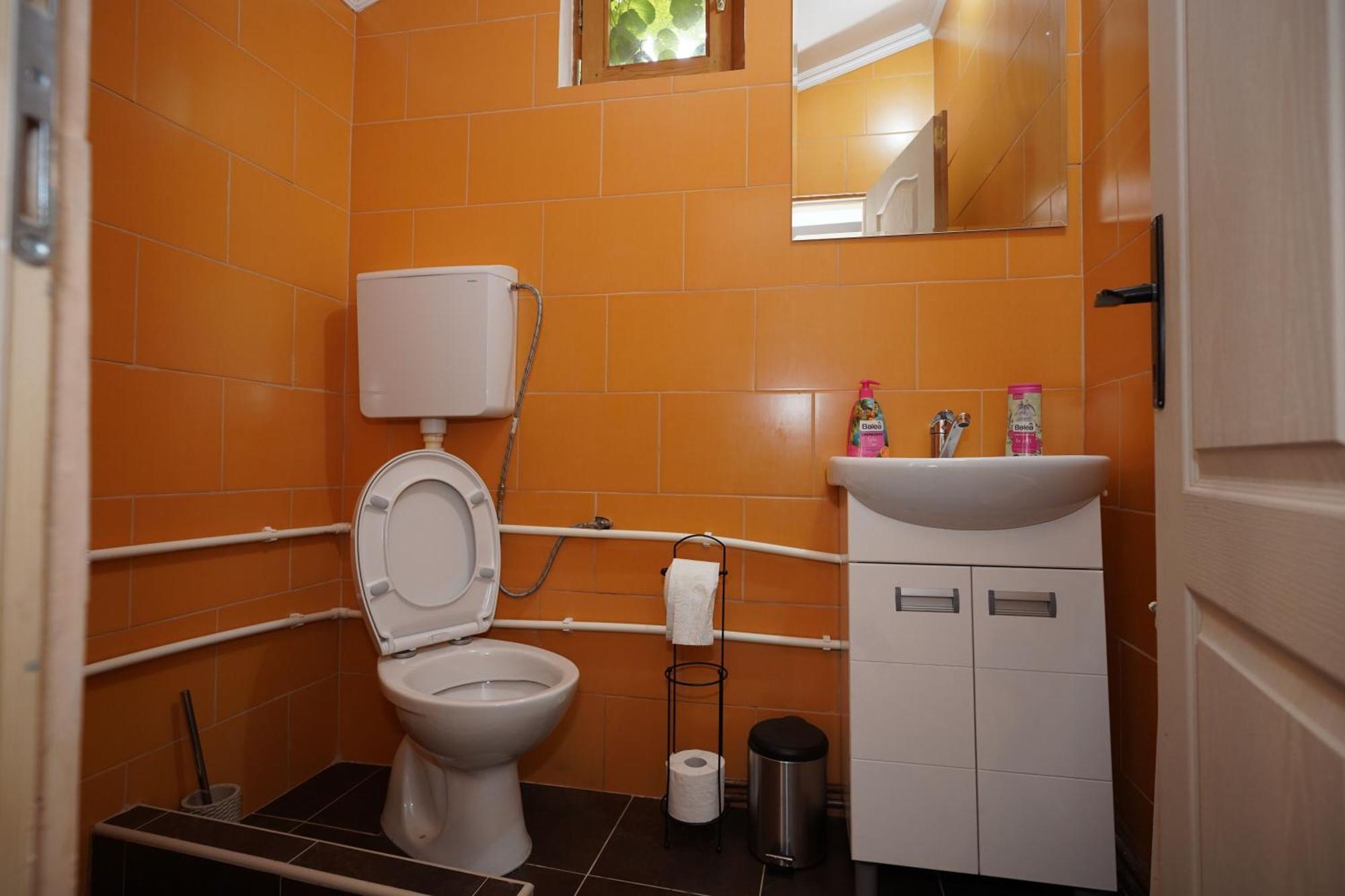 Zmaj Ognjeni Etno Concept Apartment Kupinovo